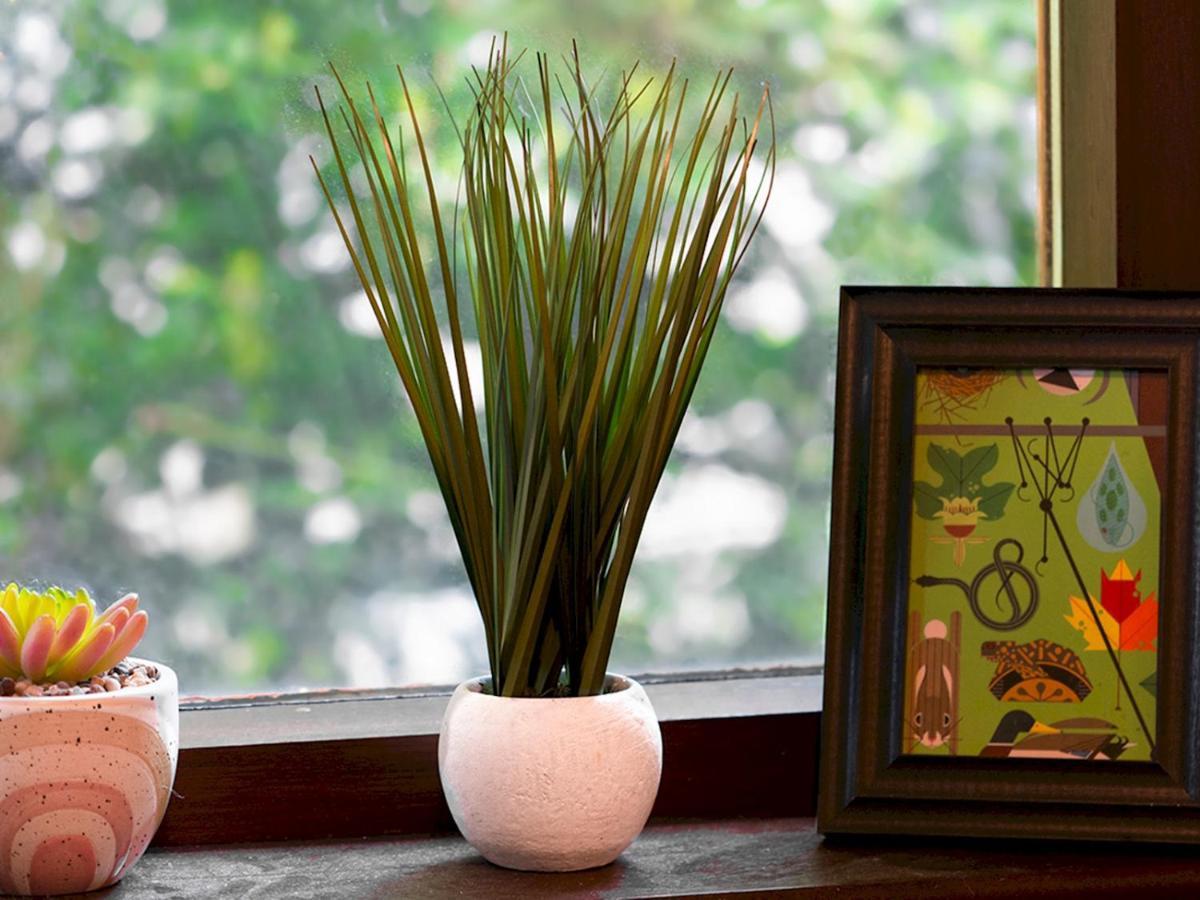 Pass The Keys Stunning 3 Bedroom Apt Leafy South Belfast With Lots Nearby エクステリア 写真